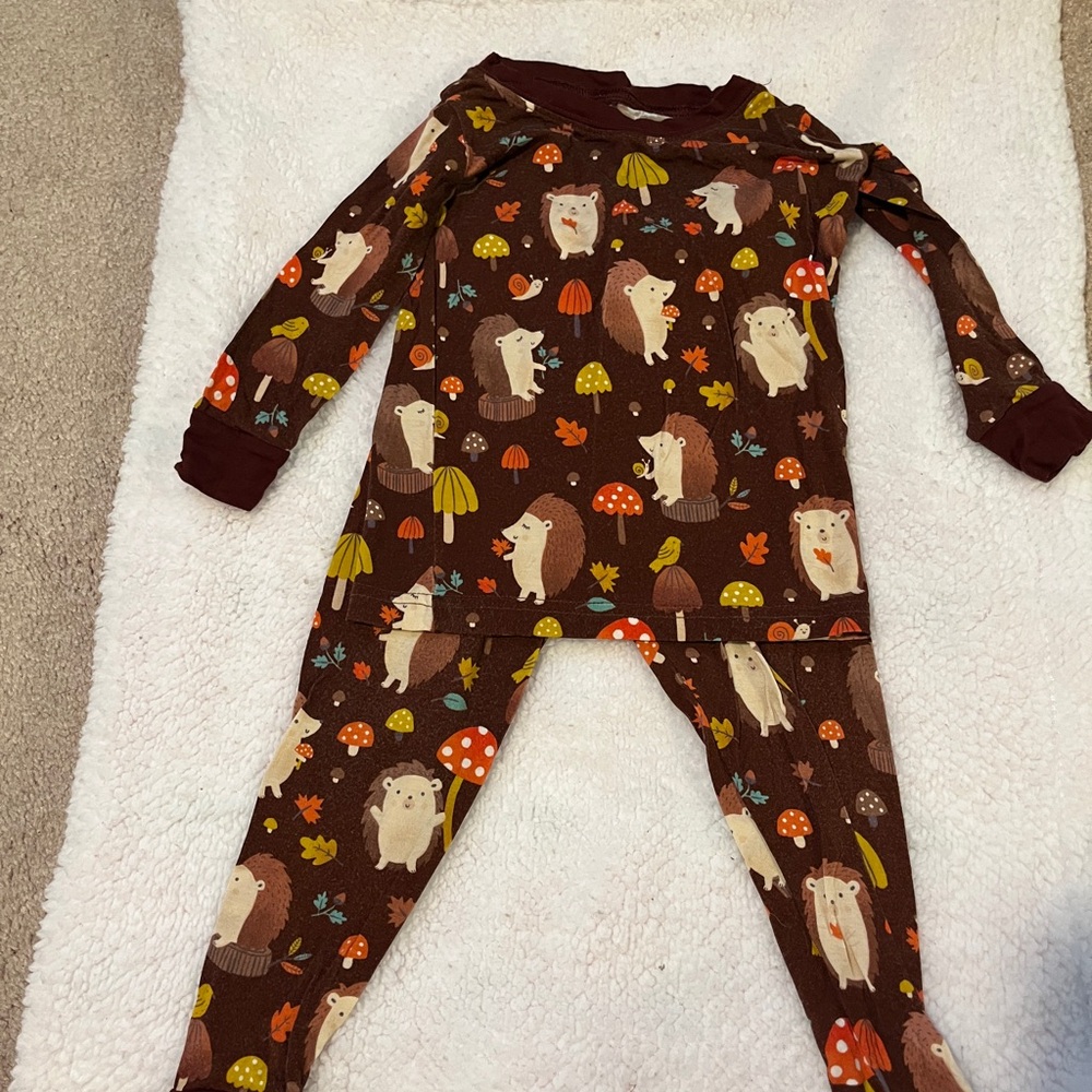 Little Sleepies Hedgehog and Mushroom 2 piece set